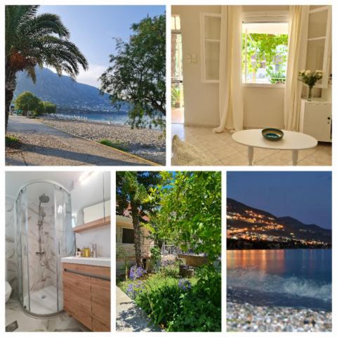 Paralia Nest Dom wakacyjny *